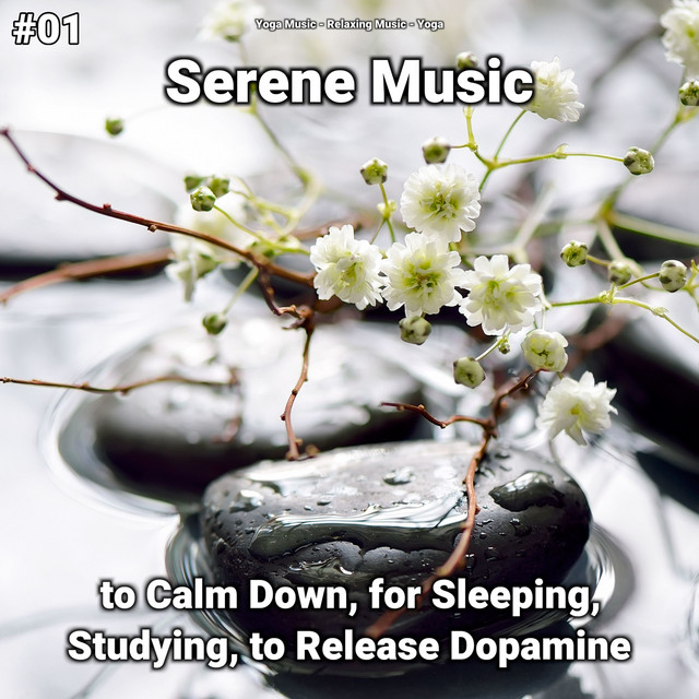 #01 Serene Music to Calm Down, for Sleeping, Studying, to Release Dopamine cover art