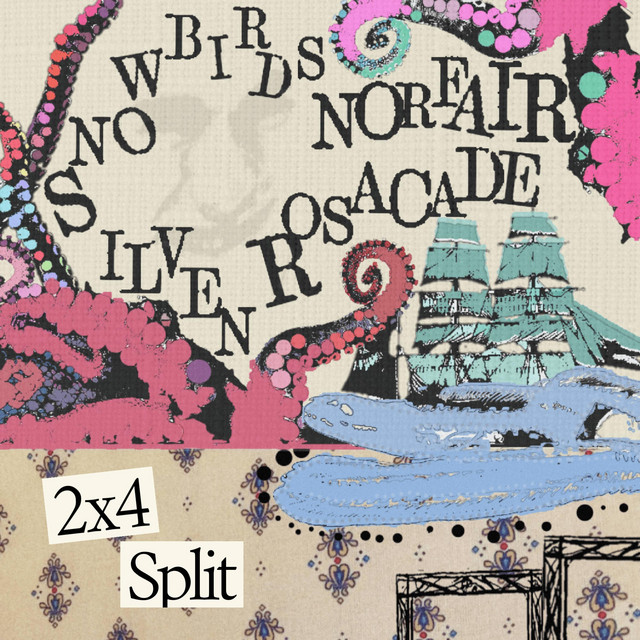 2x4 Split cover art