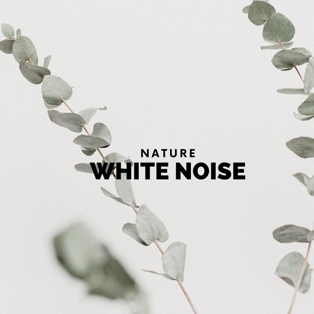 Nature White Noise cover art