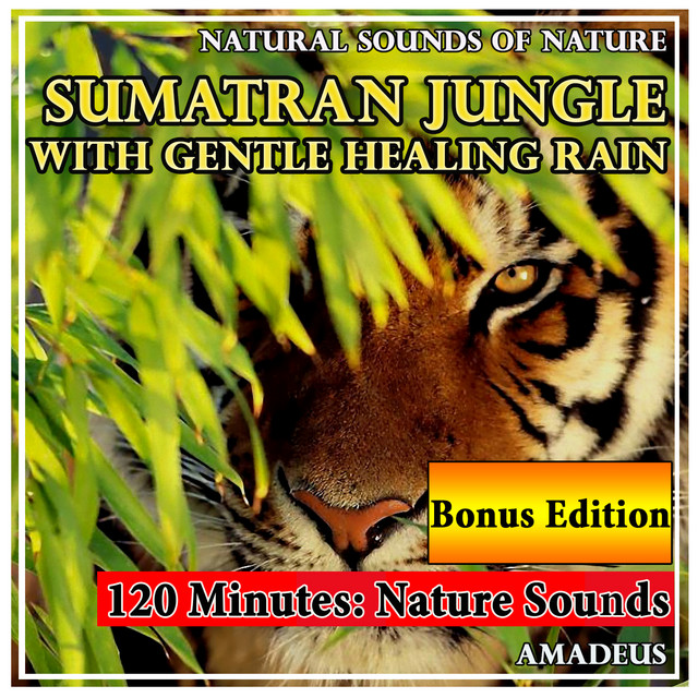 Sumatran Jungle with Gentle Healing Rain: Natural Sounds of Nature: Bonus Edition cover art