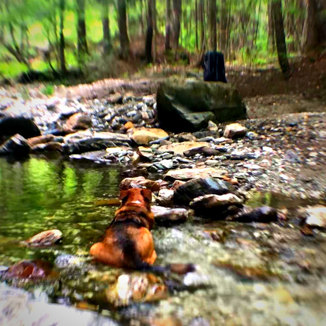 River Walk cover art