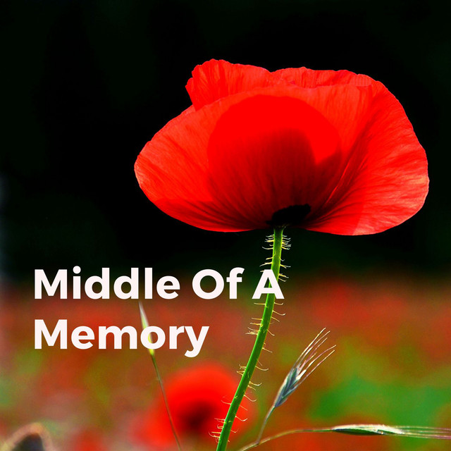 Middle of a Memory cover art