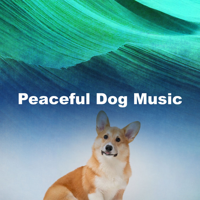 Peaceful Dog Music - Album by Music For Dogs | Spotify