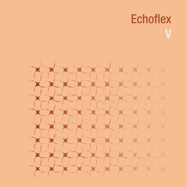 Echoflex V cover art