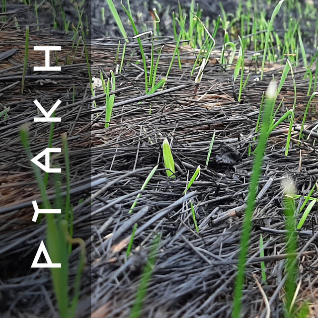 Cover art: Vidbudova (Reconstruction) — Ptakh