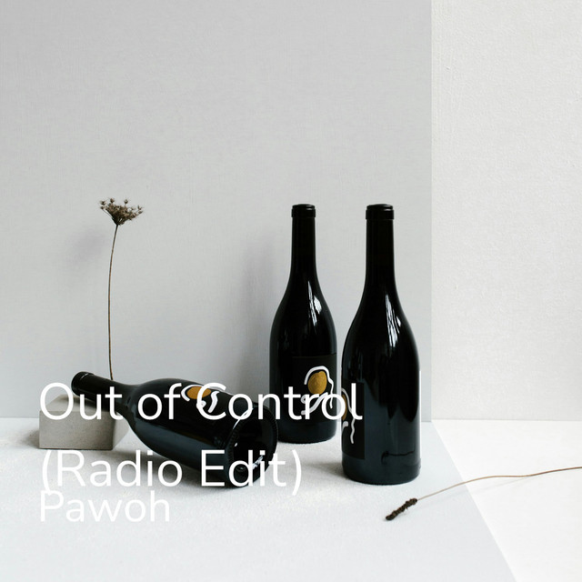 Out of Control - Radio Edit album art