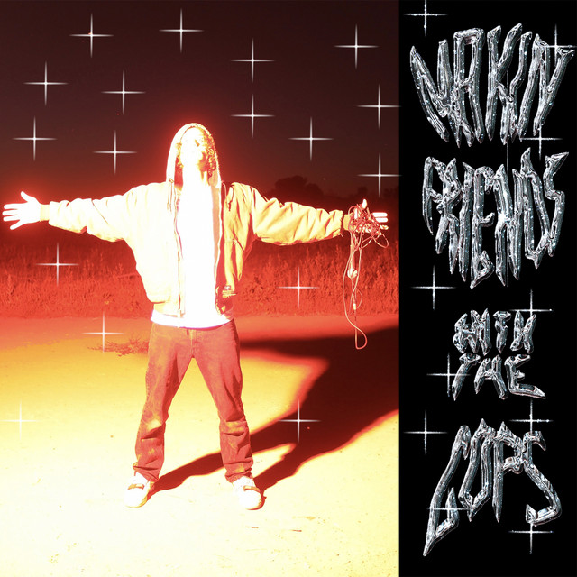 Making Friends with the Cops cover art