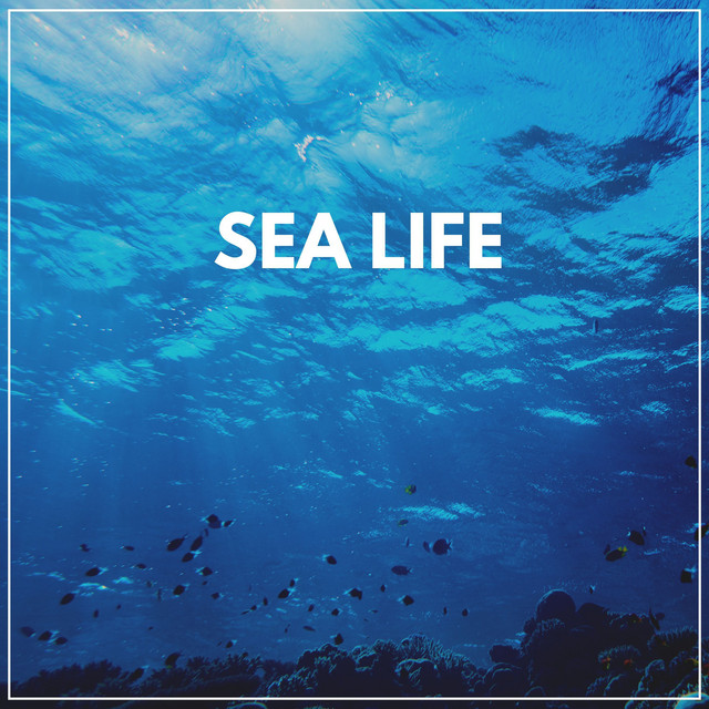 Sea Life cover art