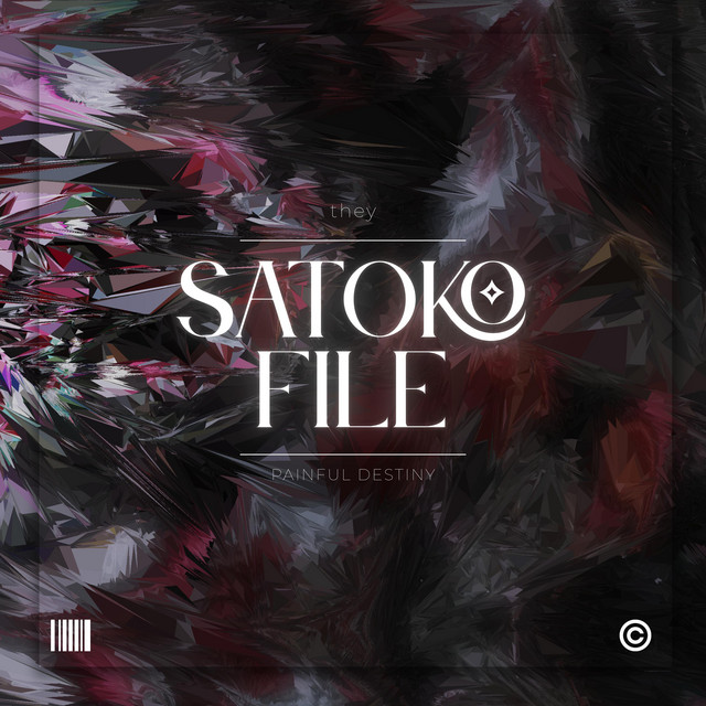 SATOKO FILE cover art