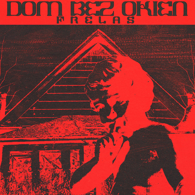 Dom bez okien cover art
