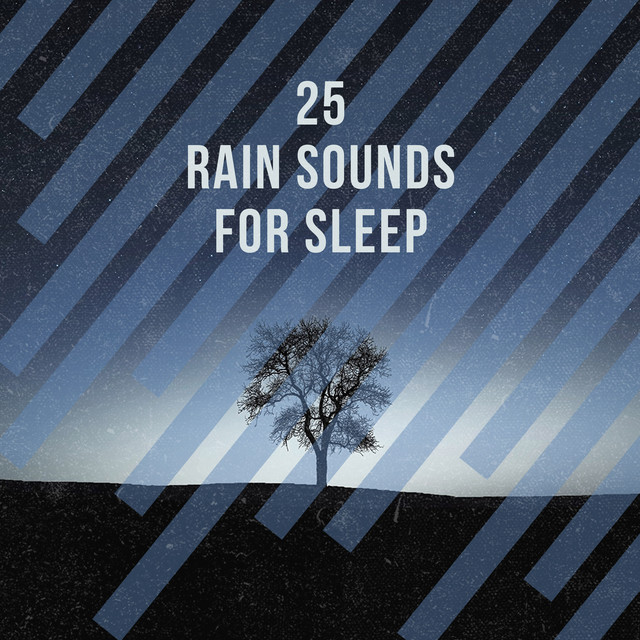 25 Rain Sounds for Sleep - Album by Raindrops Sleep | Spotify
