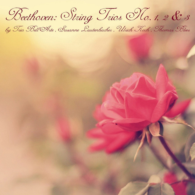 Beethoven: String Trios No. 1 - 3 cover art