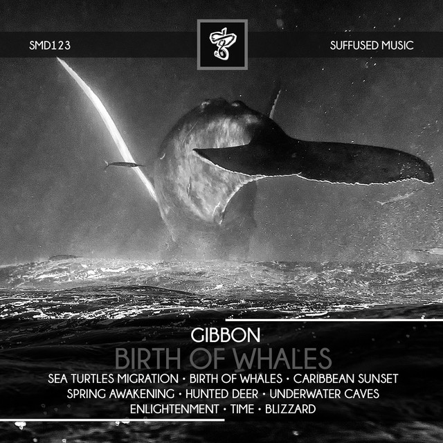 Birth of Whales cover art