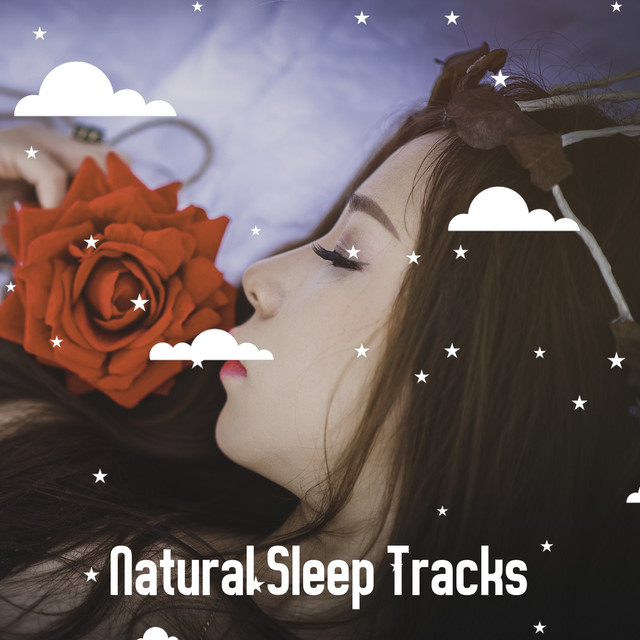 Natural Sleep Tracks - Album by Nature Sounds Nature Music | Spotify