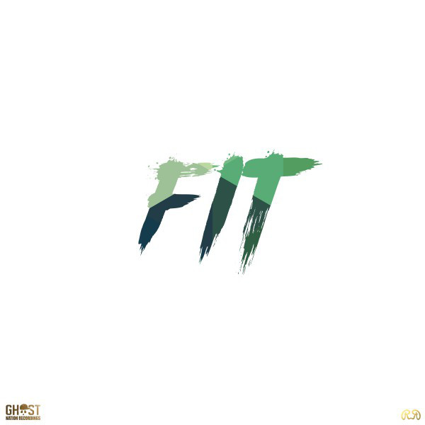 Fit cover art