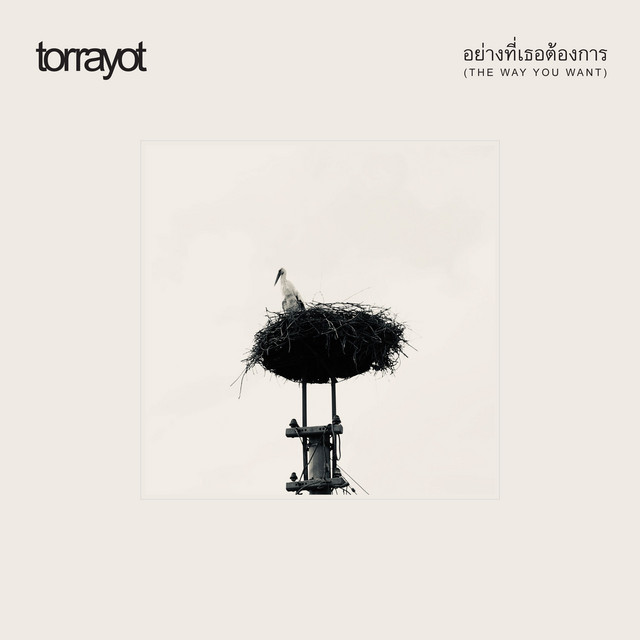 อย่างที่เธอต้องการ (The Way You Want) cover art