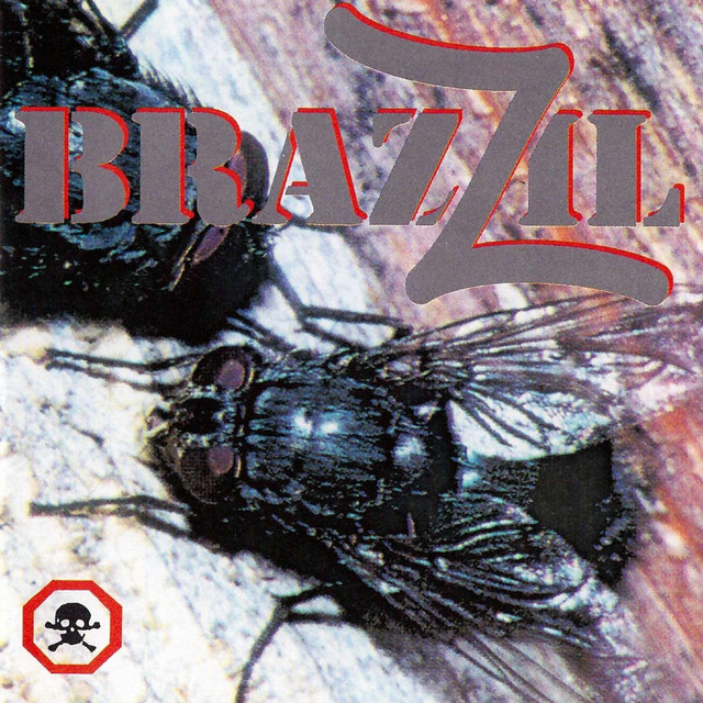 Brazzil Photo