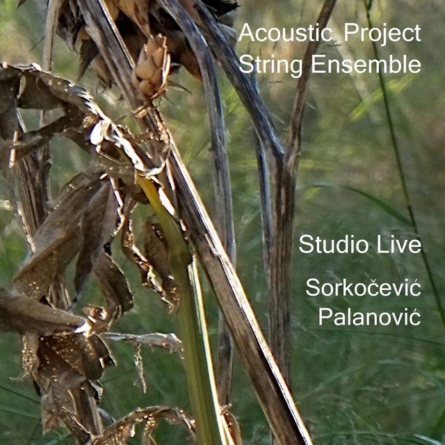 Studio Live – Sorkočević – Palanović (Revisited) cover