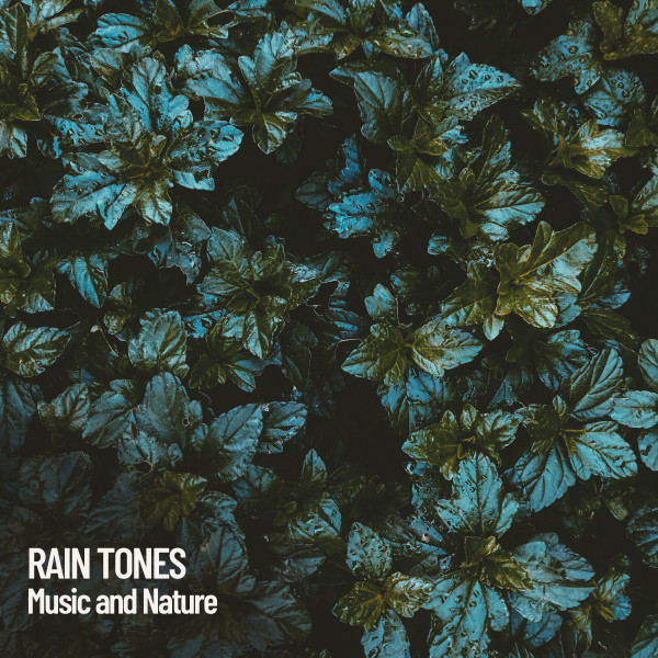Rain Tones: Music and Nature cover art