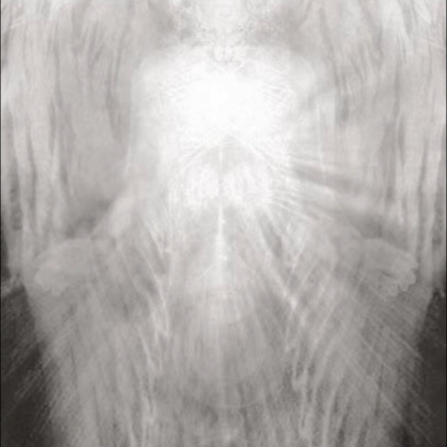 Be4: iihyg cover art