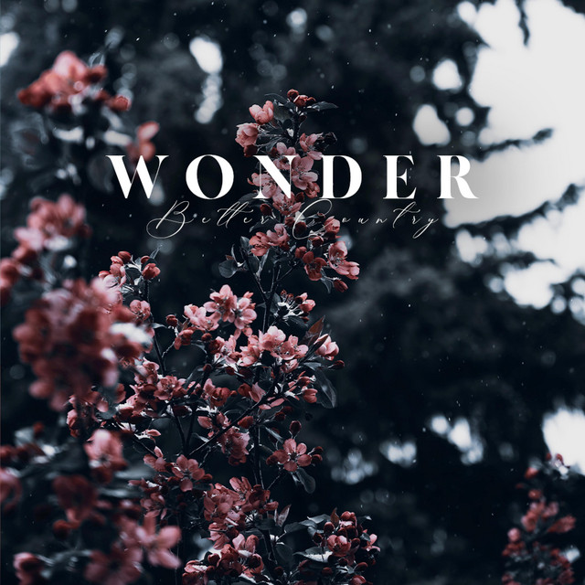 Wonder - EP by Better Country Soaking Worship | Spotify