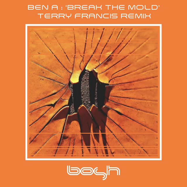 Break the Mold - Terry's Dirty Dub Rub album art