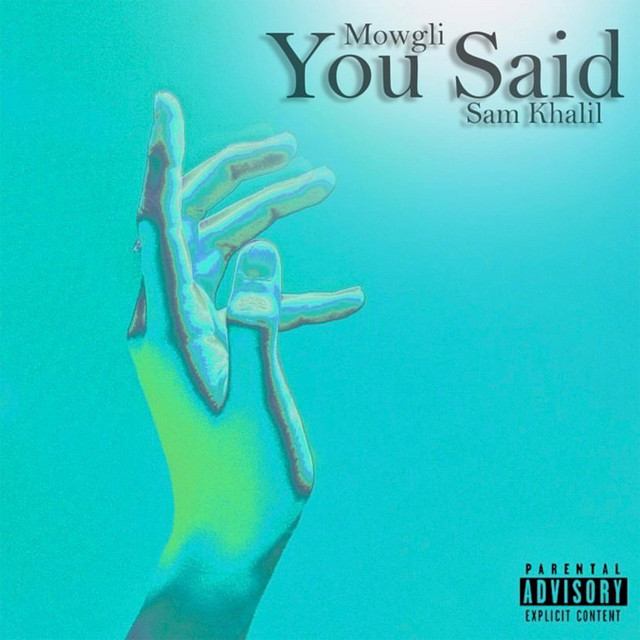 You Said - Single by Mowgli & Sam Khalil | Spotify