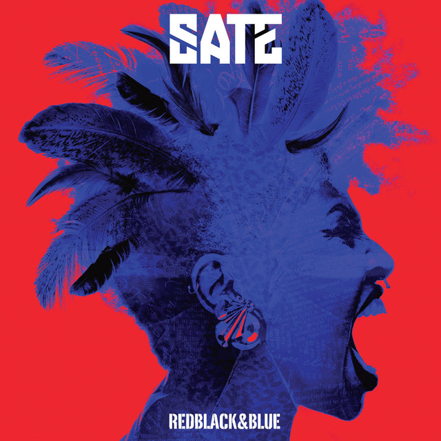 Red Black & Blue cover art