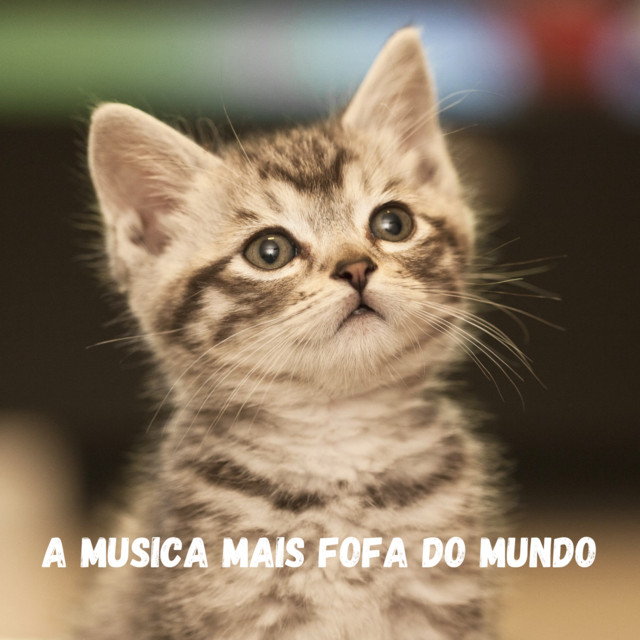 A Musica Mais Fofa do Mundo