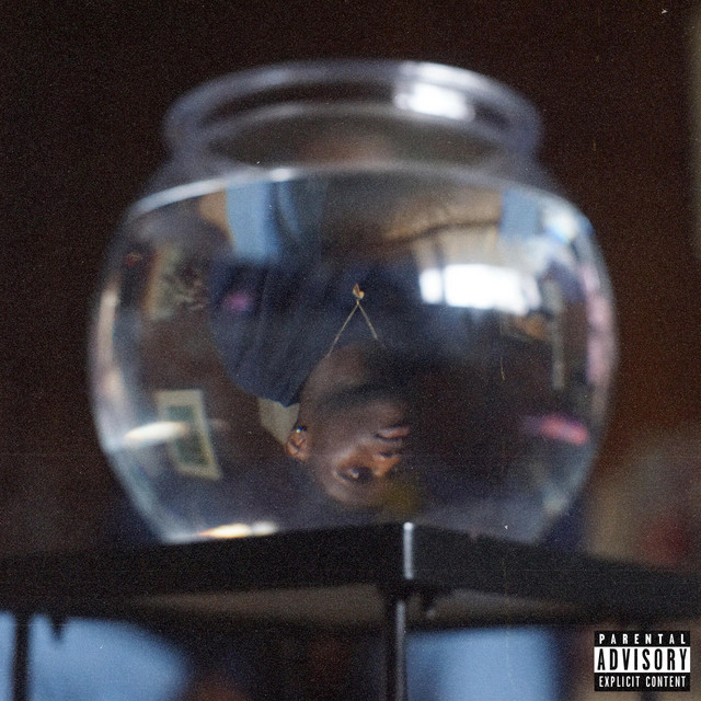 Faded in Plain Sight cover art
