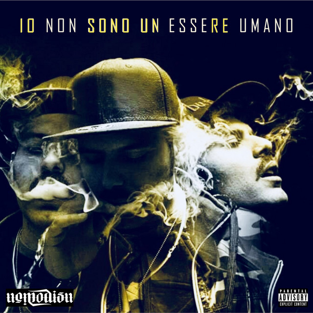 Io Non Sono Un Essere Umano cover art