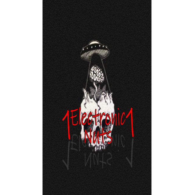 1ElectroNuts1 cover art