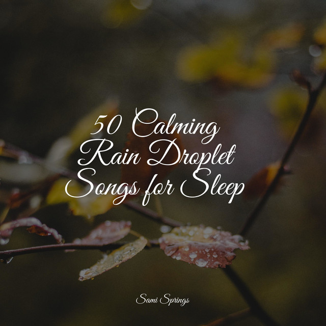 50 Calming Rain Droplet Songs for Sleep - Album by Sleep Sounds of ...