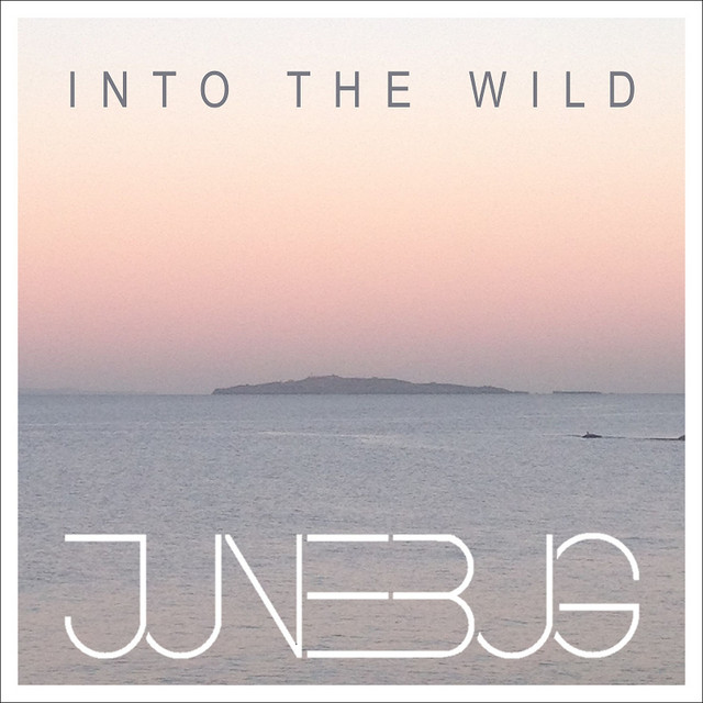 Into the Wild cover art