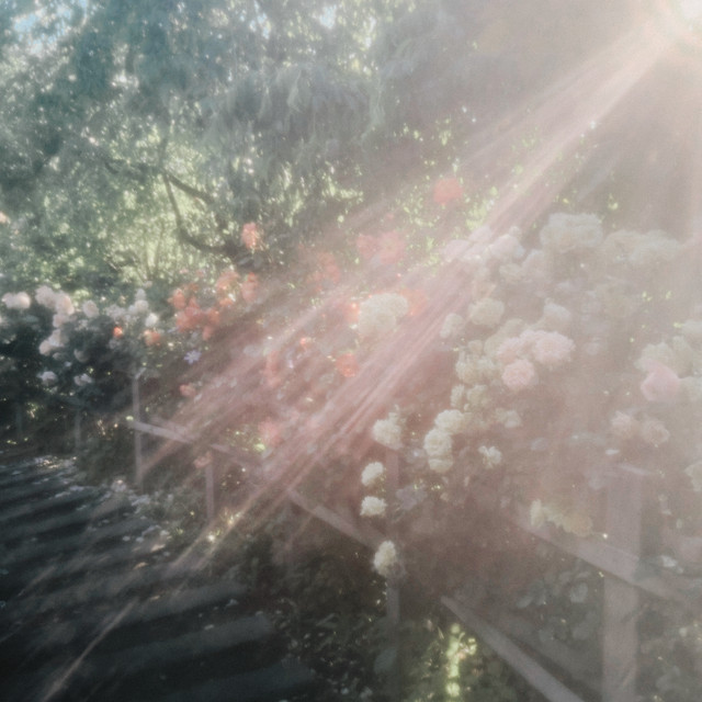 Paradise cover art