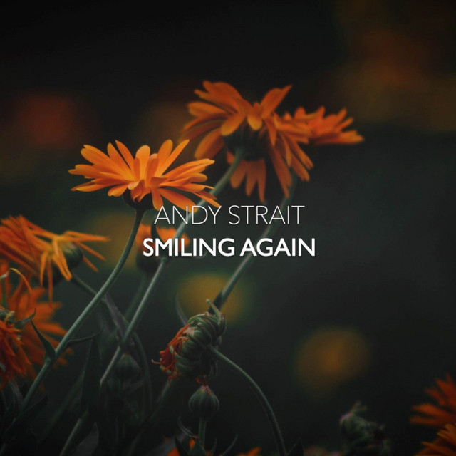 Smiling Again cover art