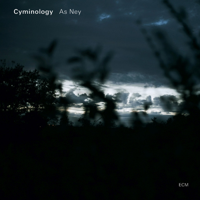As Ney cover art