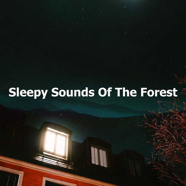 Sleepy Sounds Of The Forest - Album by Sound Sleeping | Spotify