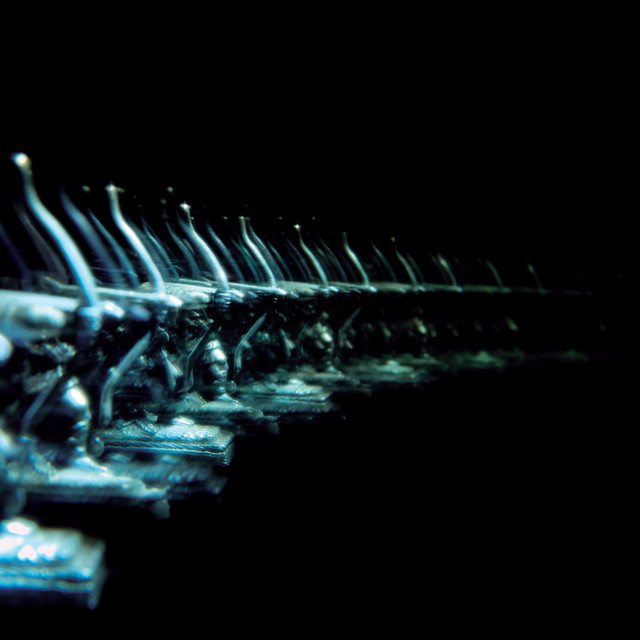 Ellipsis cover art