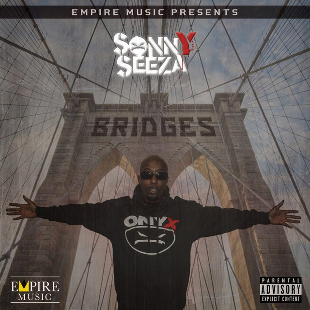 Bridges cover art