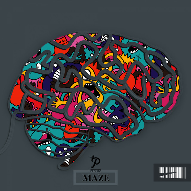 The Maze cover art
