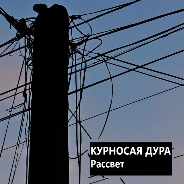 Обкладинка: Рассвет — КУРНОСАЯ ДУРА