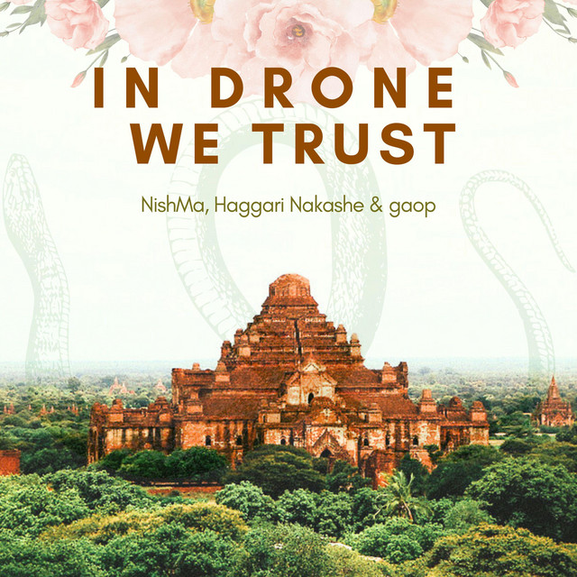 In Drone We Trust cover art