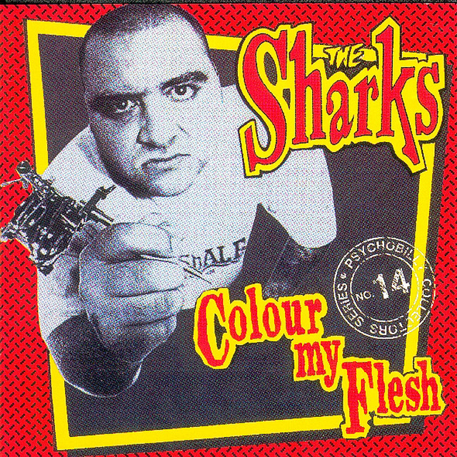 Colour My Flesh cover art
