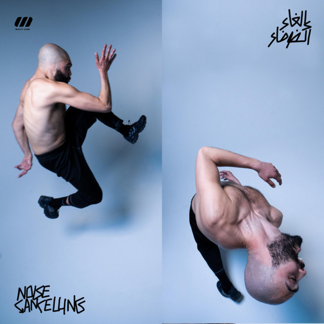 NOISE CANCELLING cover art