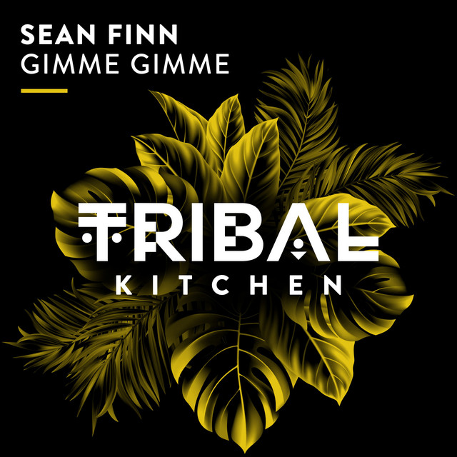 Gimme Gimme - Extended Mix album art