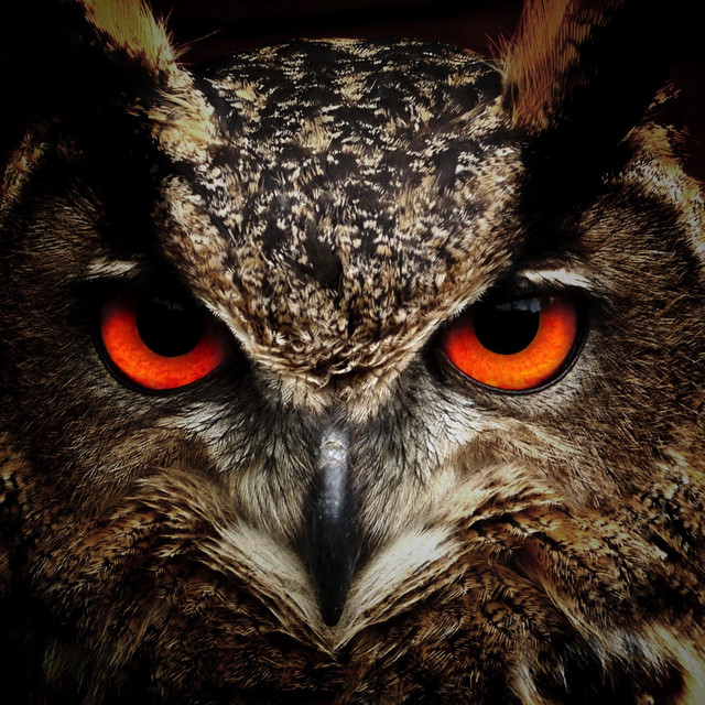 Great Feeling / Insomnia Cure, Bio Energy Healing cover art