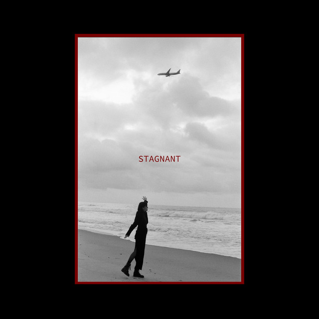 stagnant album image
