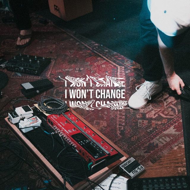 I WONT CHANGE cover
