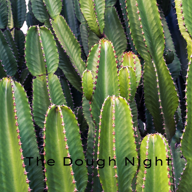The Dough Night cover art